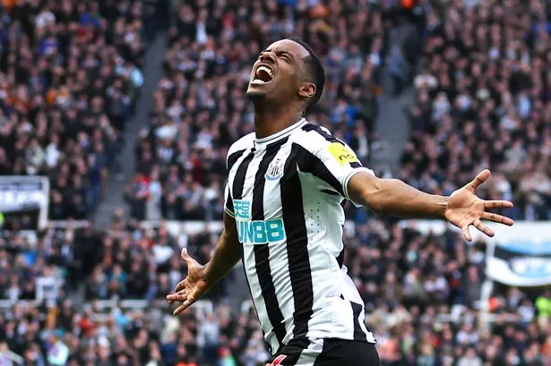 Newcastle United vs. Luton Town: A Clash of Titans and Underdogs