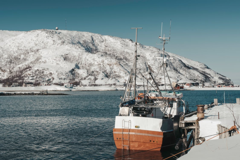 Whitehaven’s Weather: A Temperate Tapestry